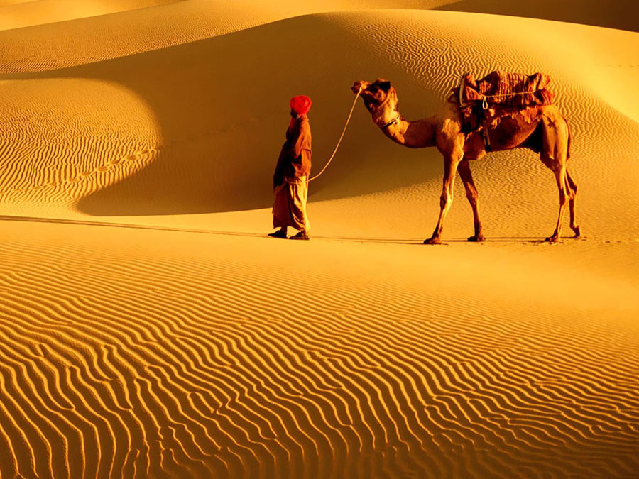 Rangilo Rajasthan Holiday